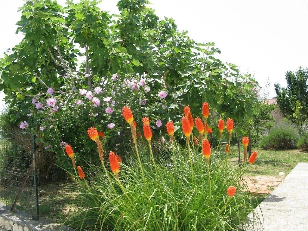 Apartment Palit 16356B Mundanije 크로아티아